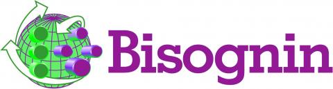 Bisognin