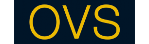 Logo OVS