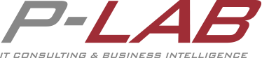IT Consulting & Business Intelligence 