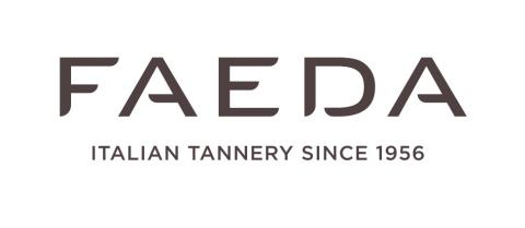 Logo Faeda